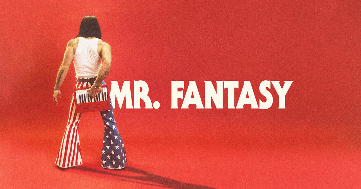 Mr Fantasy